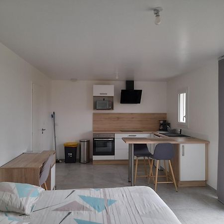 Studio Lumineux Avec Terrasse La Roche-sur-Yon Buitenkant foto